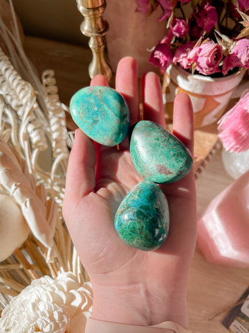 Empowerment x Confidence  | Chrysocolla Tumbled Palm Stone